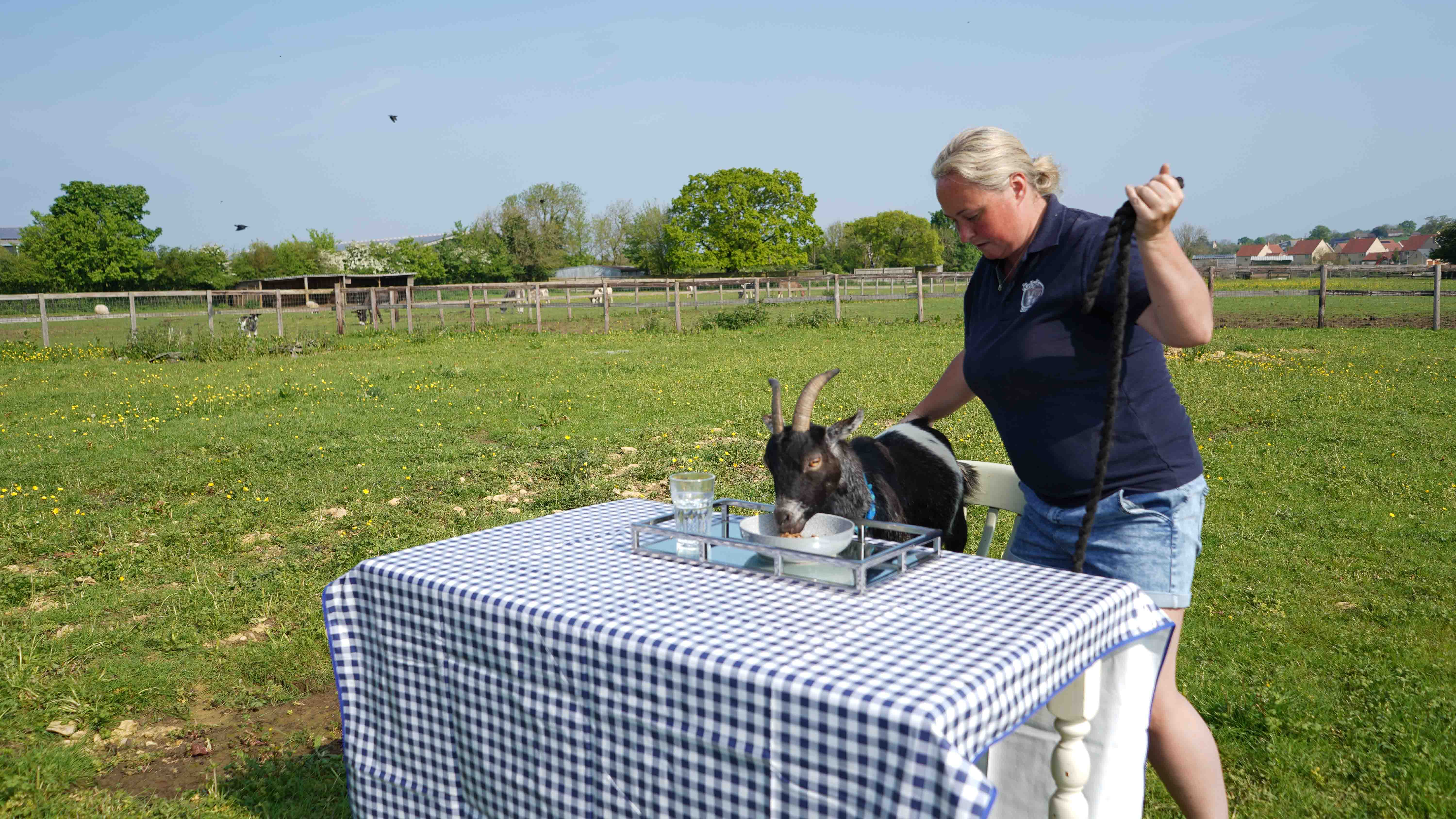 GER (Global Ehsan Relief)