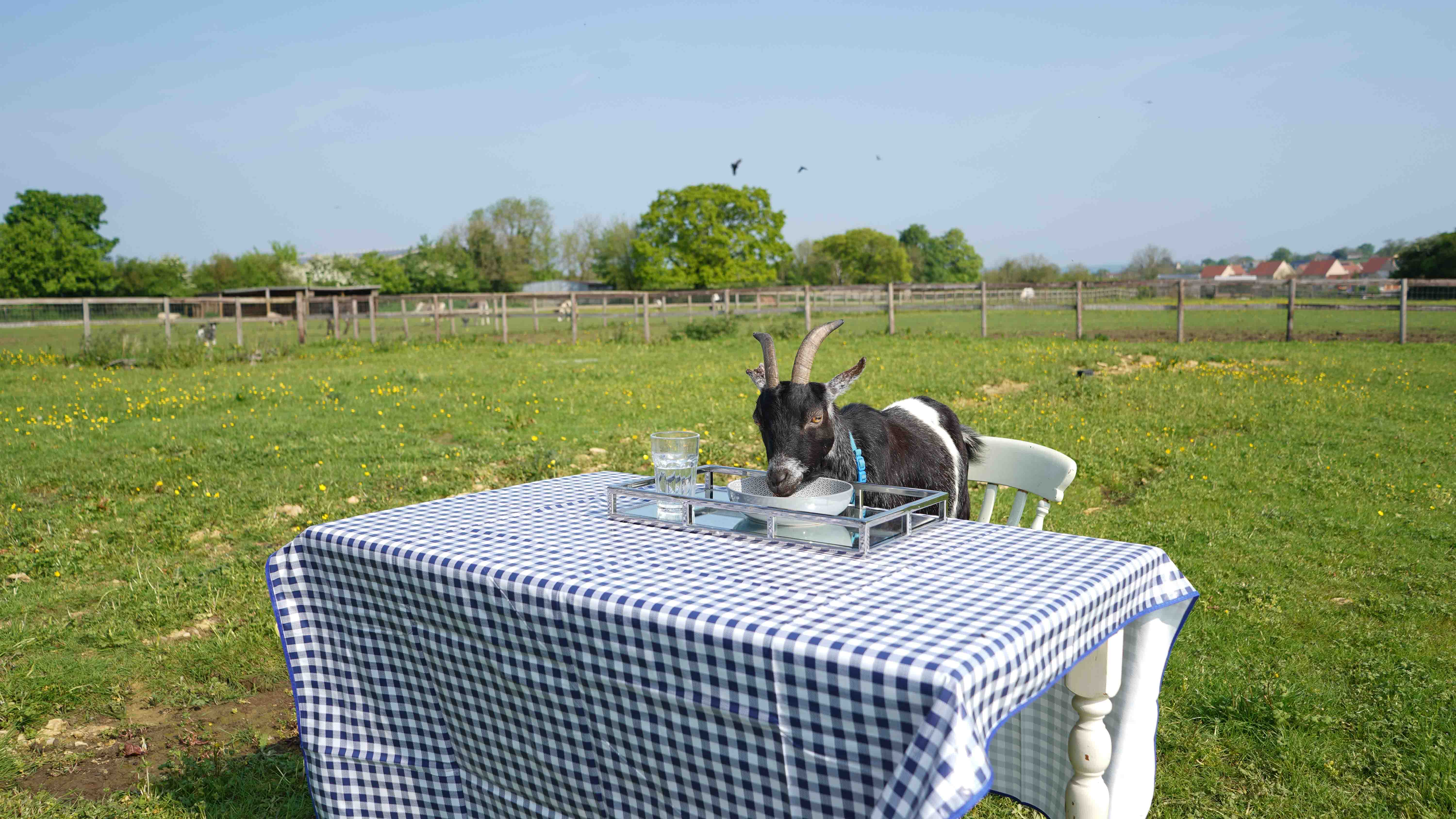 GER (Global Ehsan Relief) - Image 4