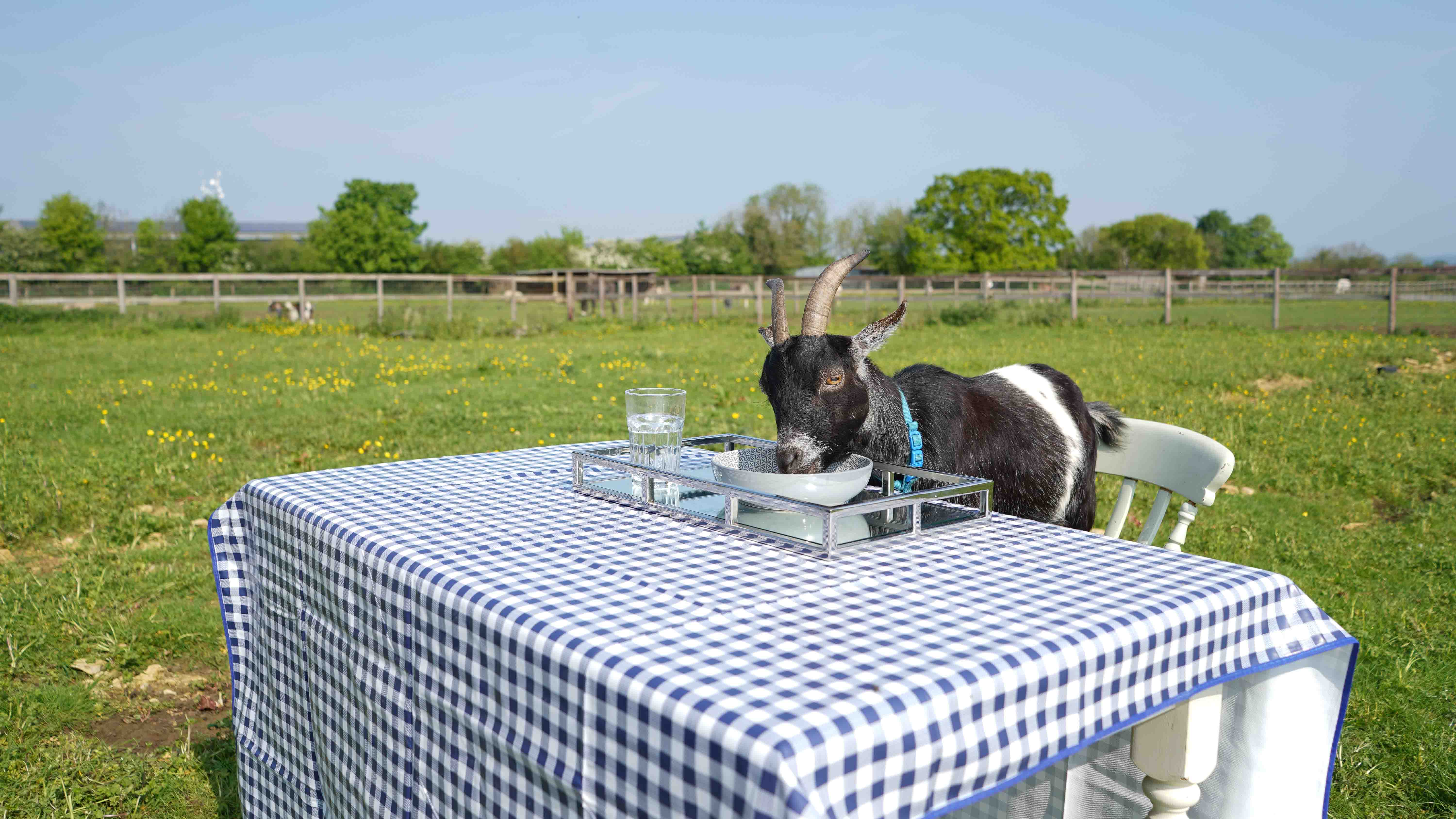 GER (Global Ehsan Relief) - Image 7