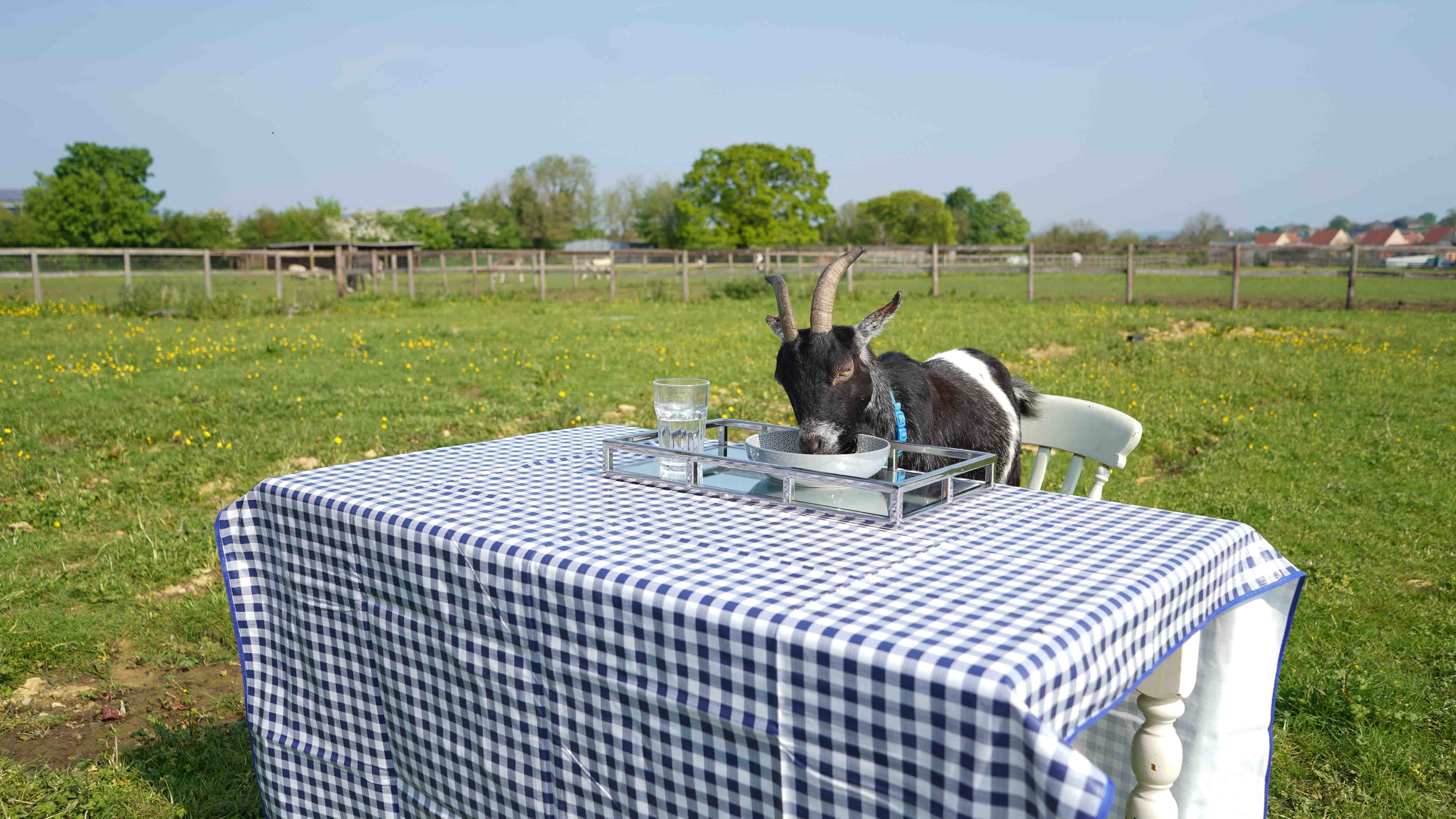 GER (Global Ehsan Relief) - Image 10