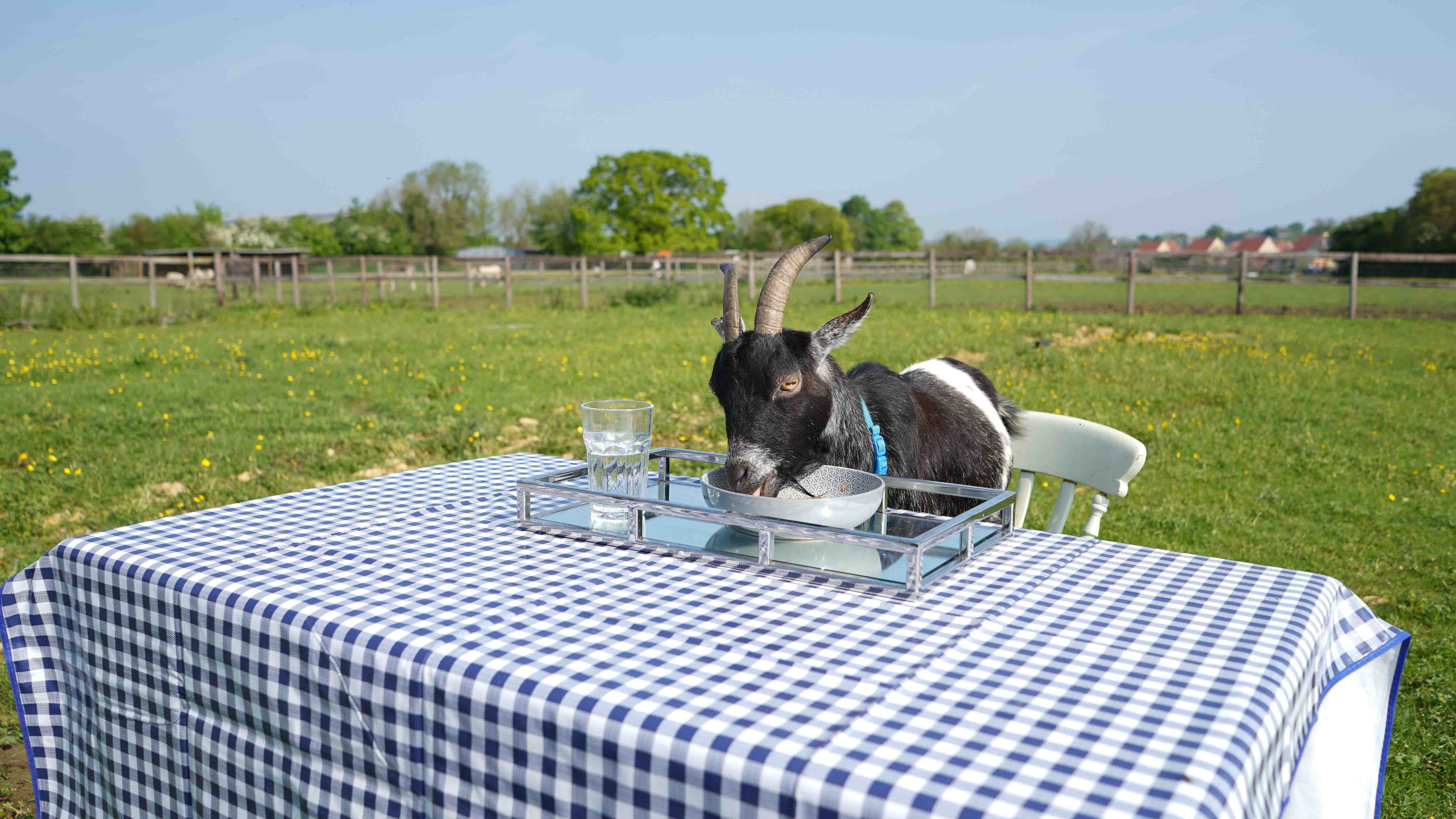 GER (Global Ehsan Relief) - Image 11