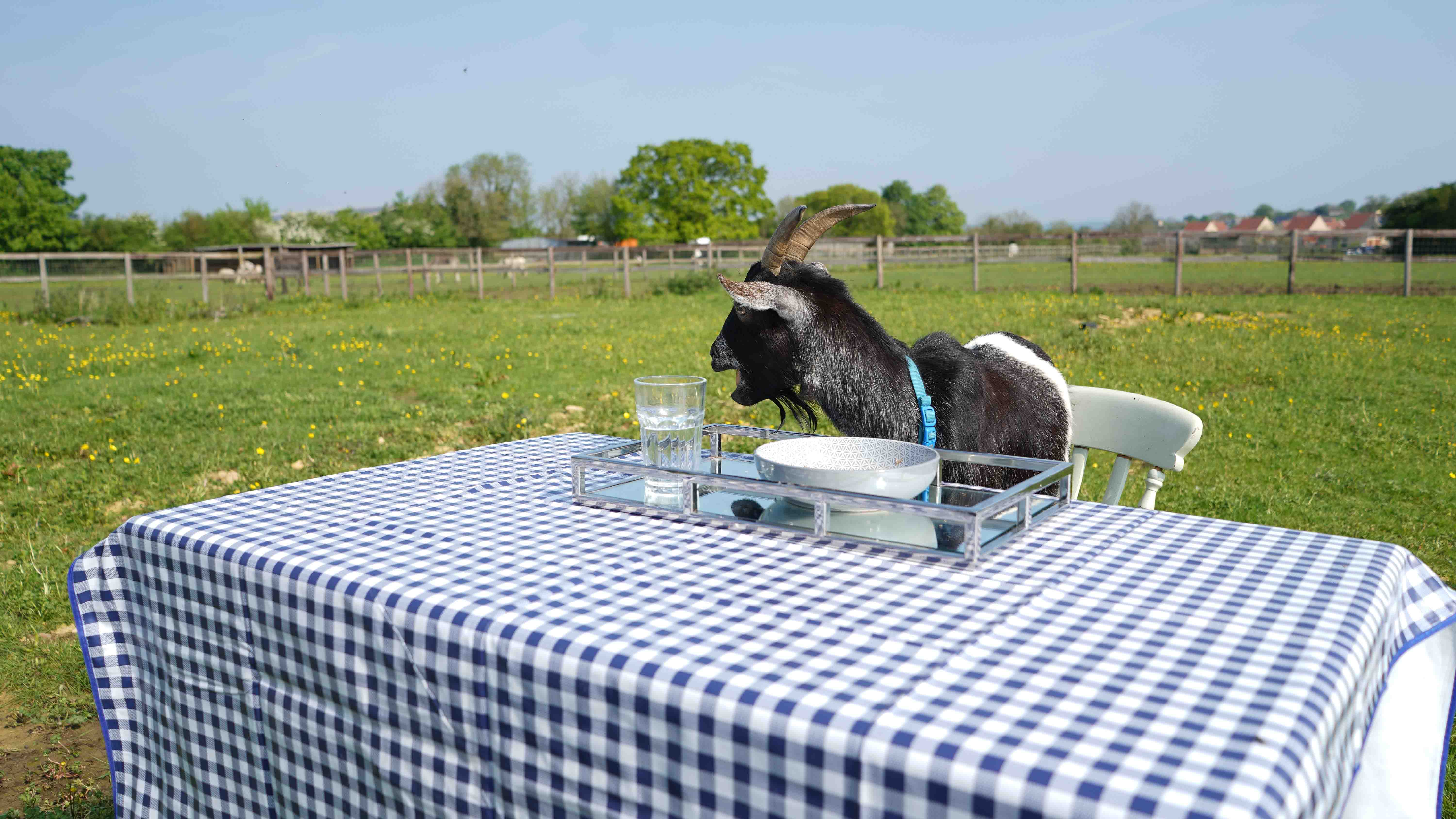 GER (Global Ehsan Relief) - Image 12