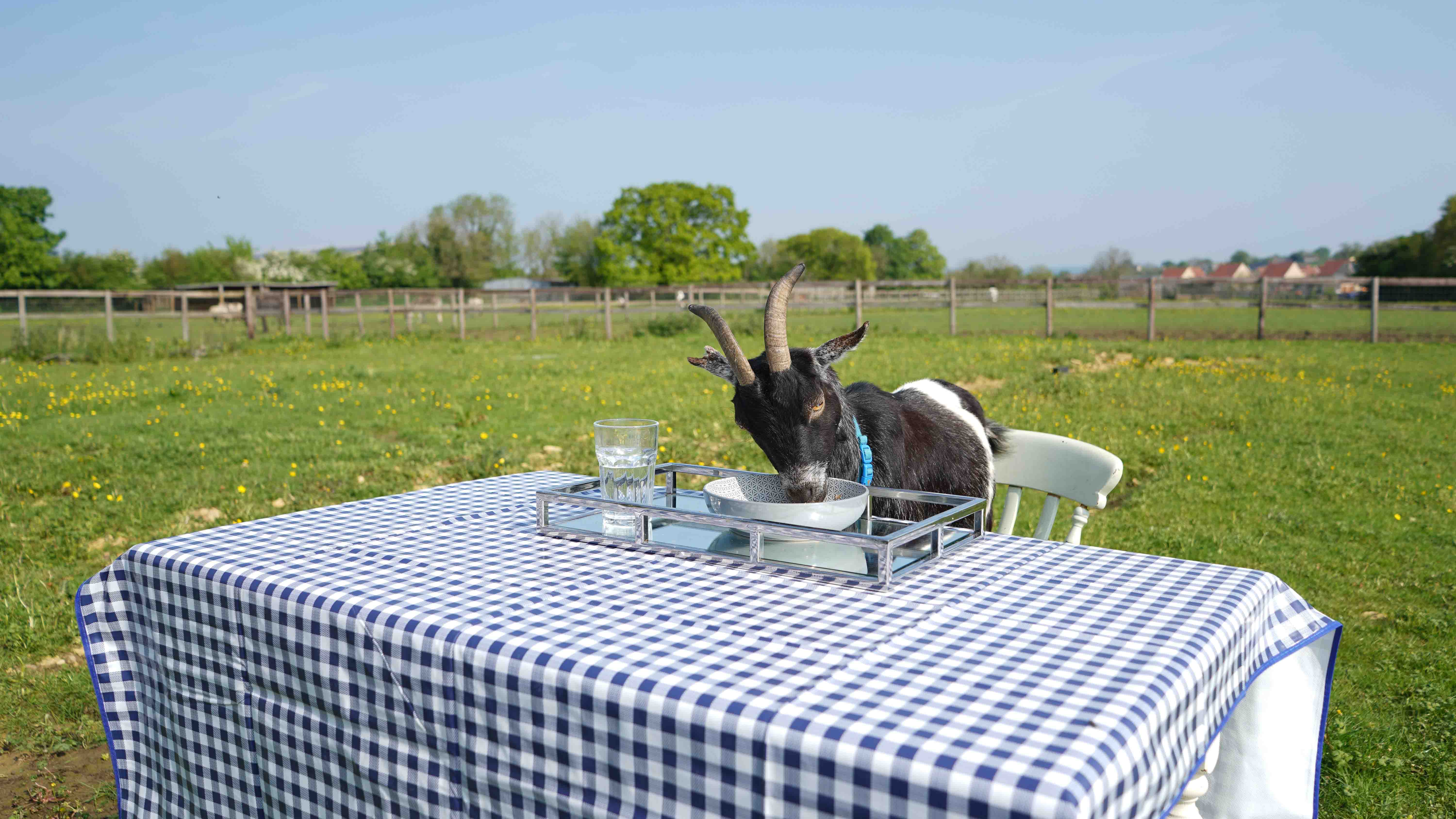 GER (Global Ehsan Relief) - Image 13