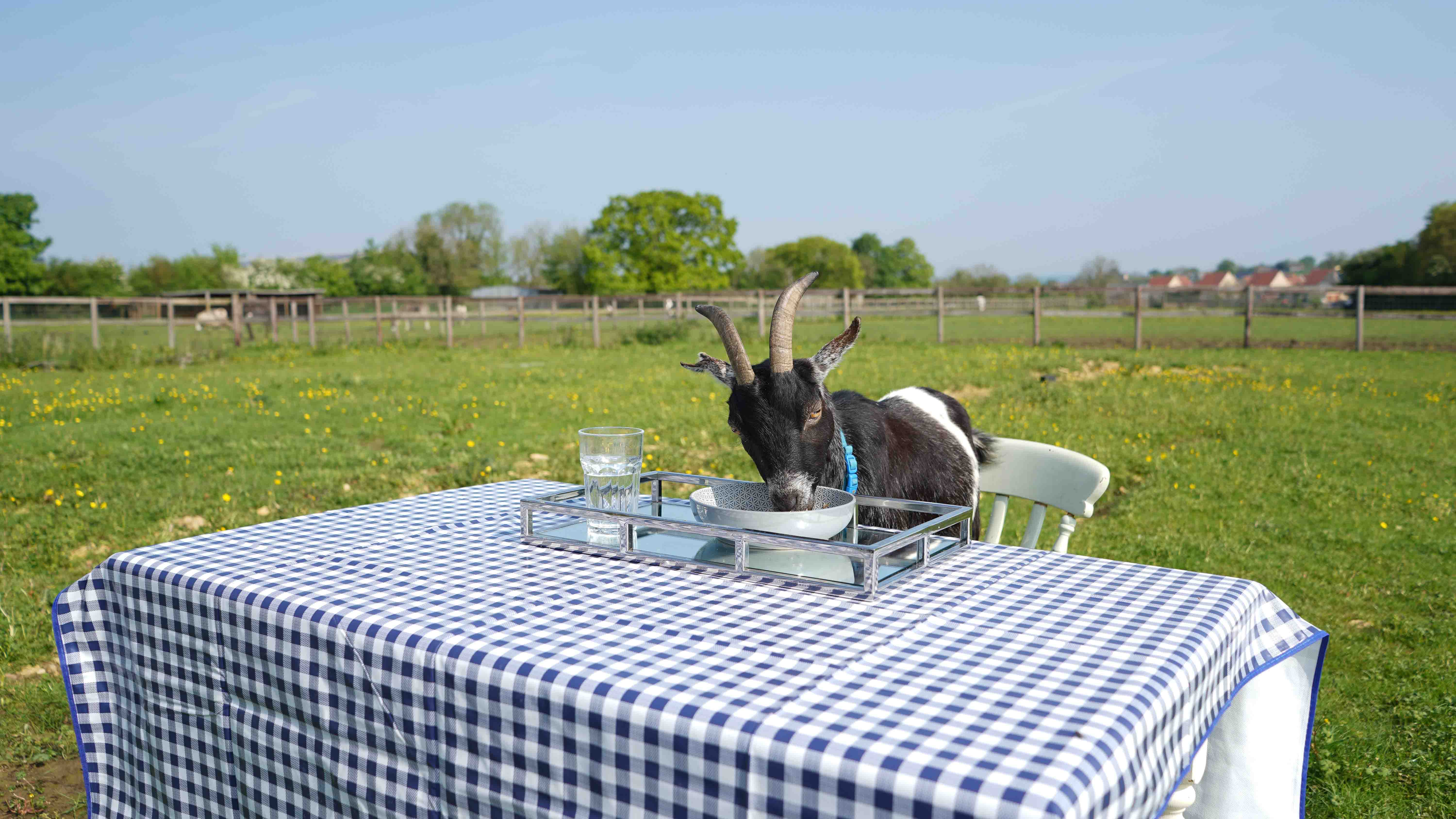 GER (Global Ehsan Relief) - Image 14