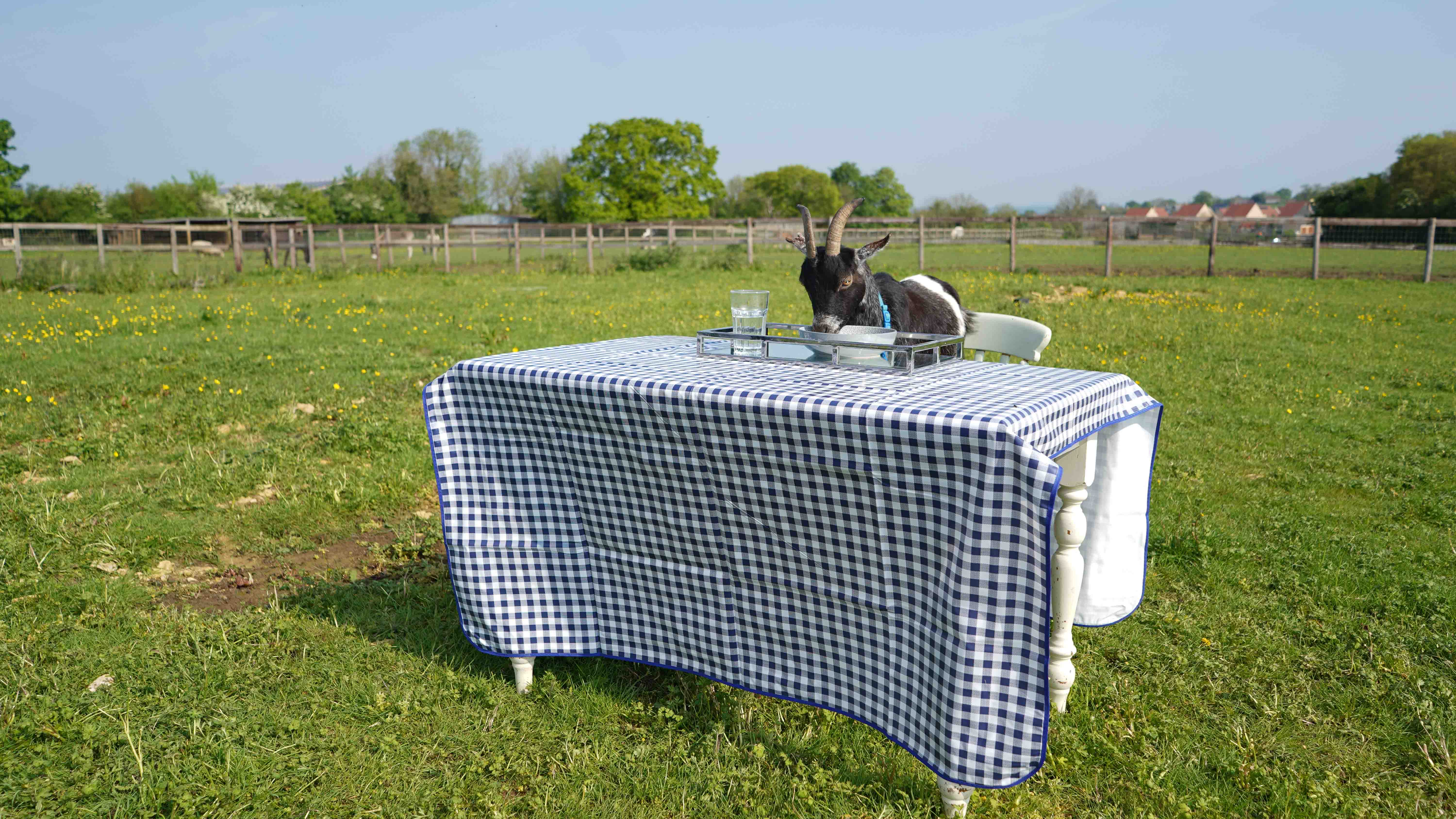 GER (Global Ehsan Relief) - Image 17