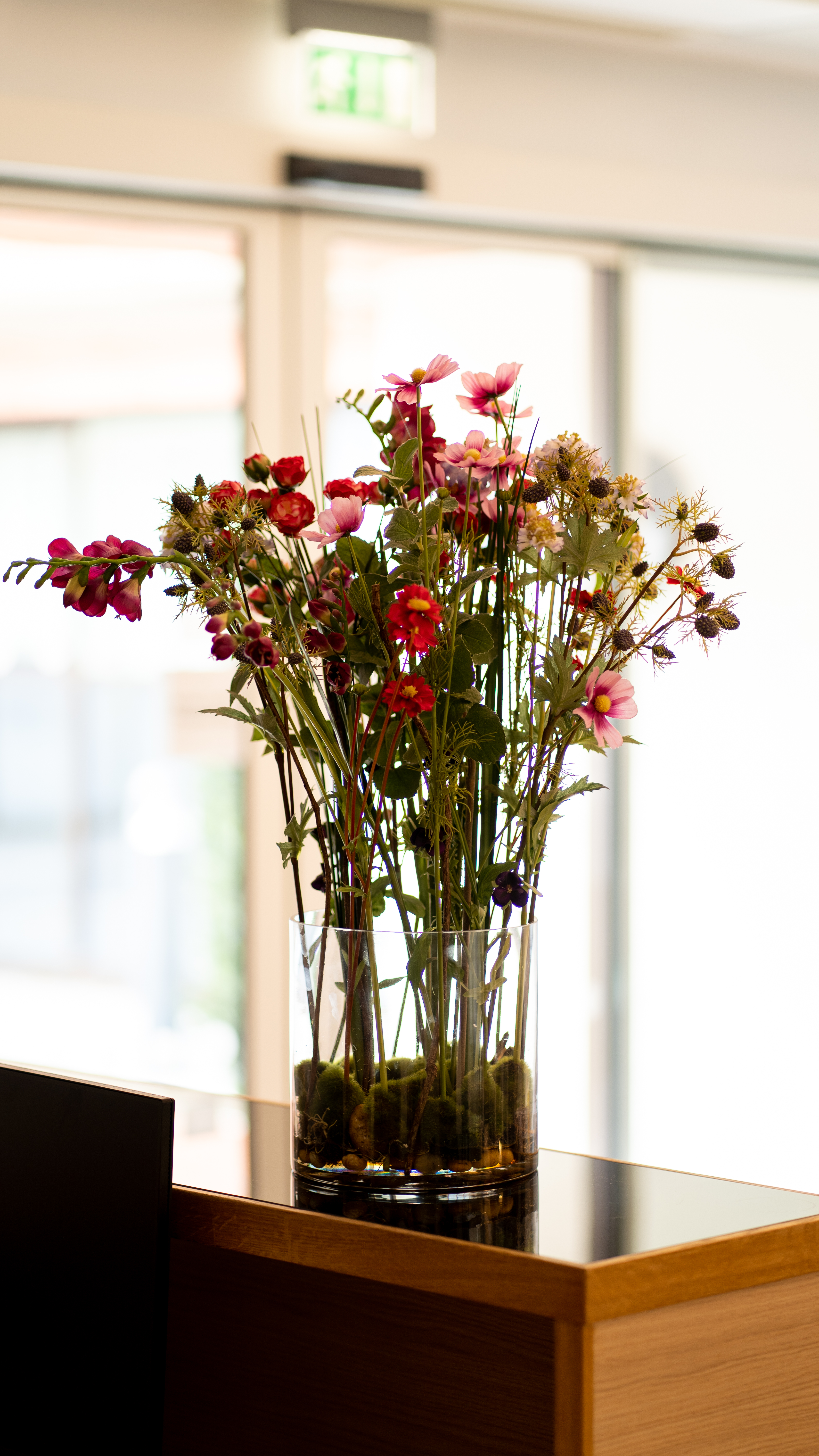 Greensleeves Care - Image 40