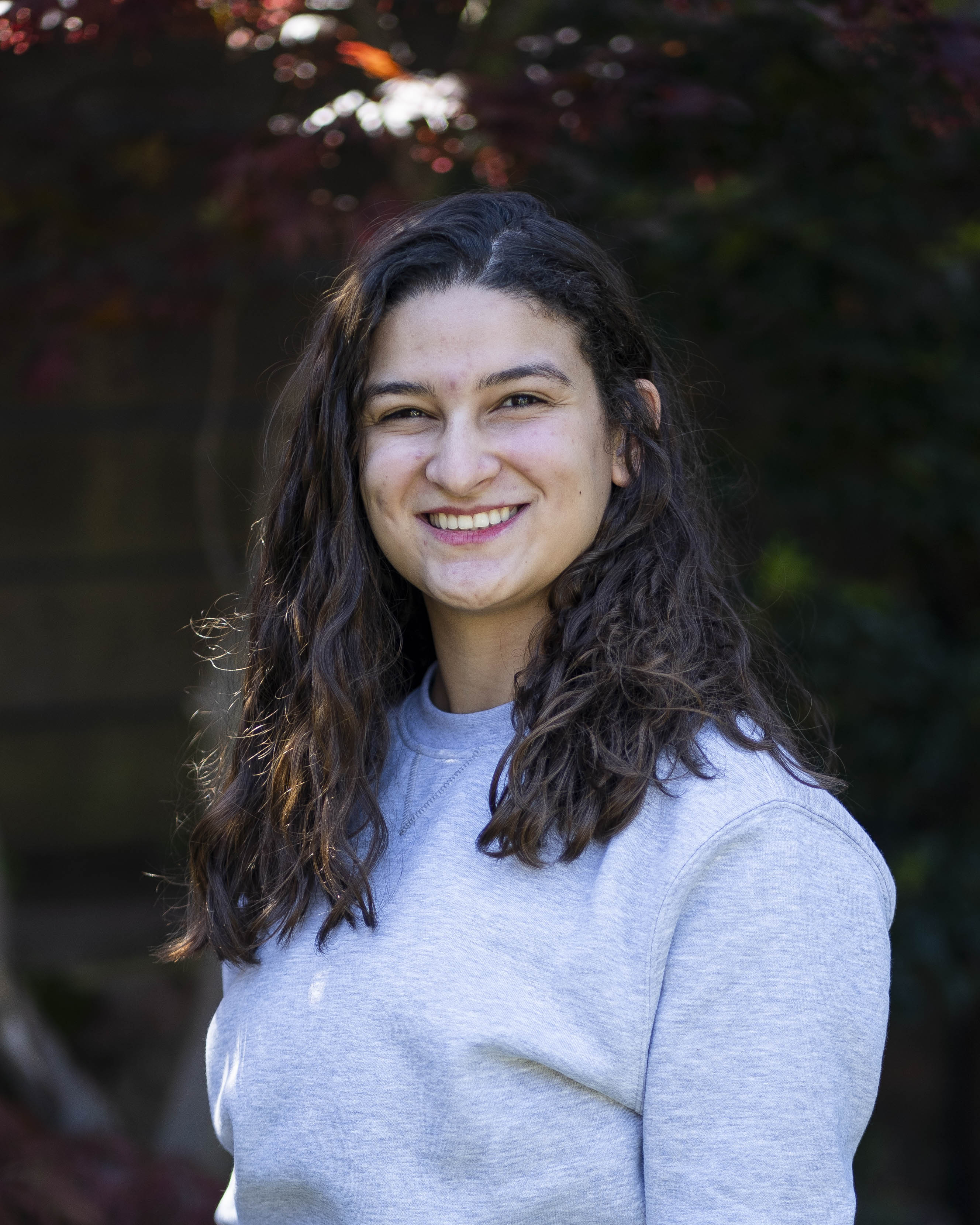 Insider PT - Image 90