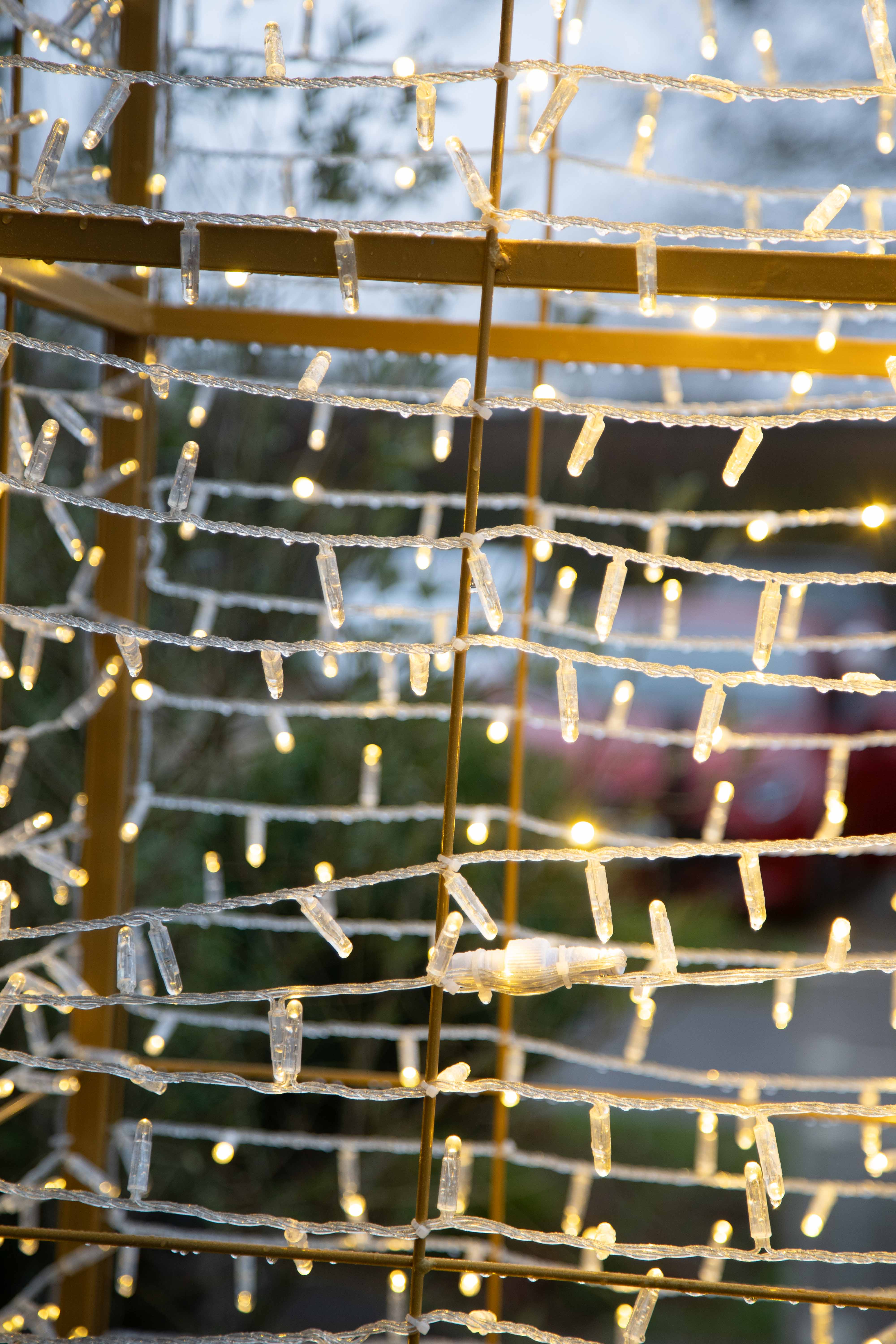 Funeral photography by Louis Charles Dalton