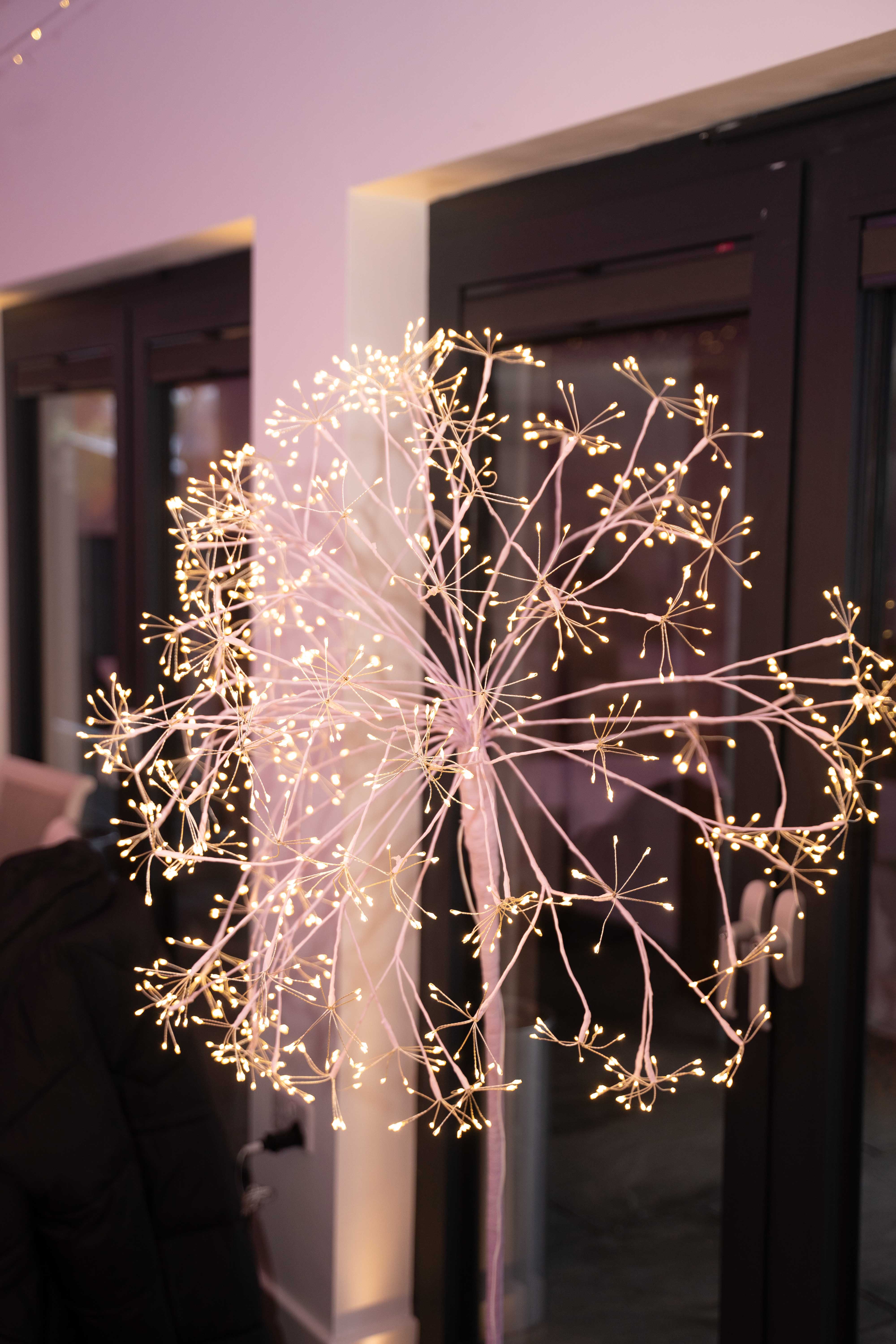 Funeral photography by Louis Charles Dalton