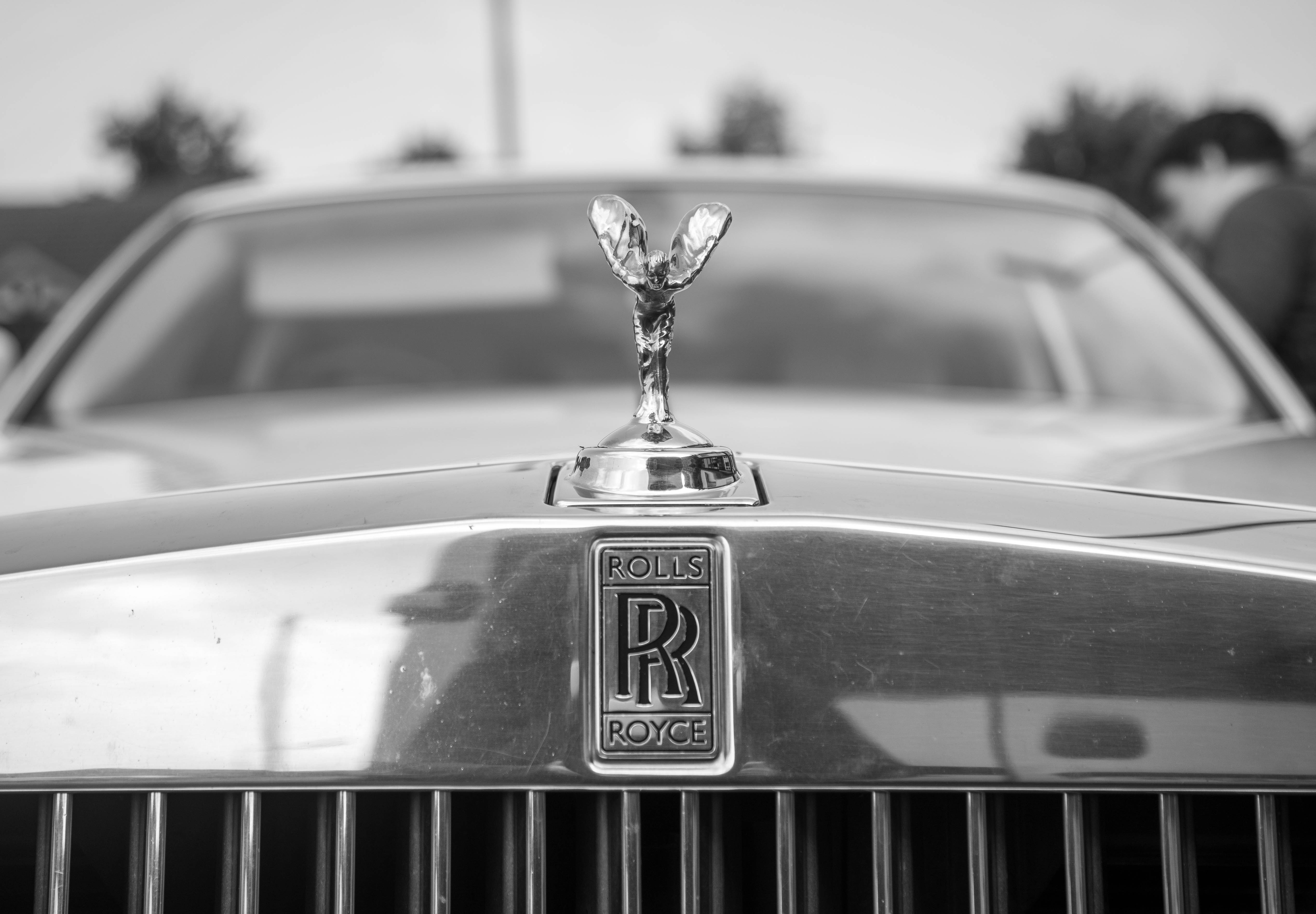 Carli & Florin wedding photo 51