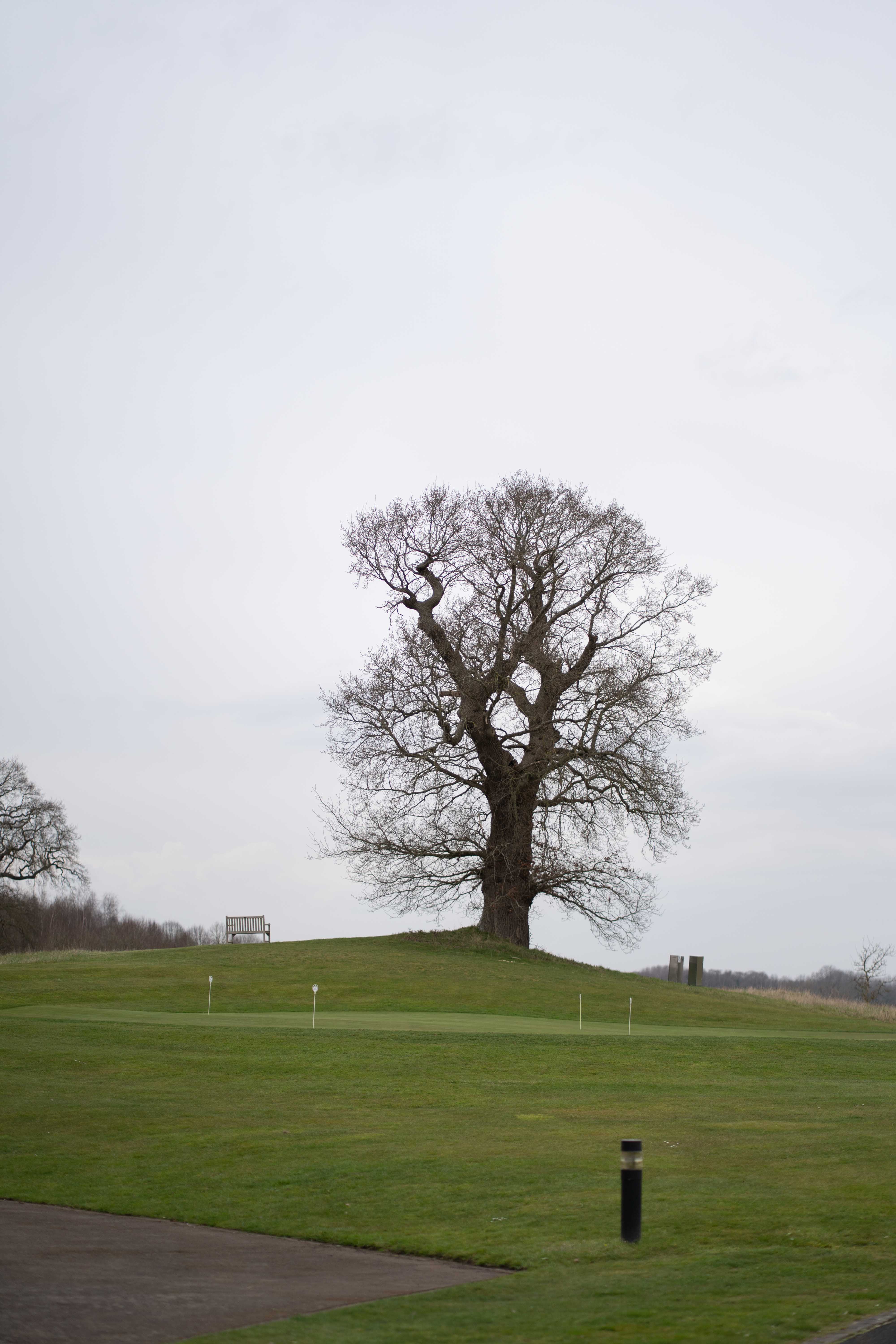 David & Kathryn wedding photo 317
