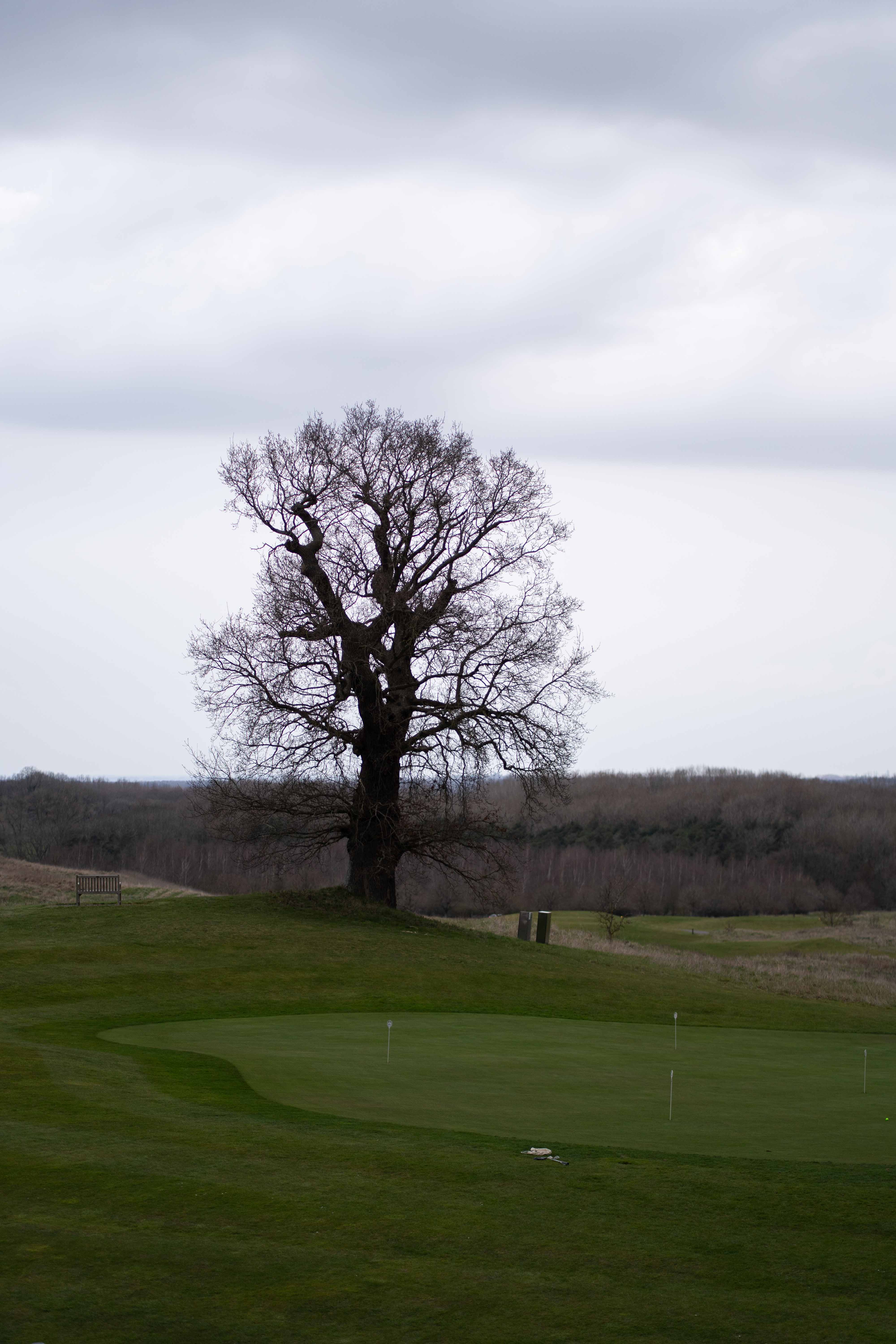 David & Kathryn wedding photo 628