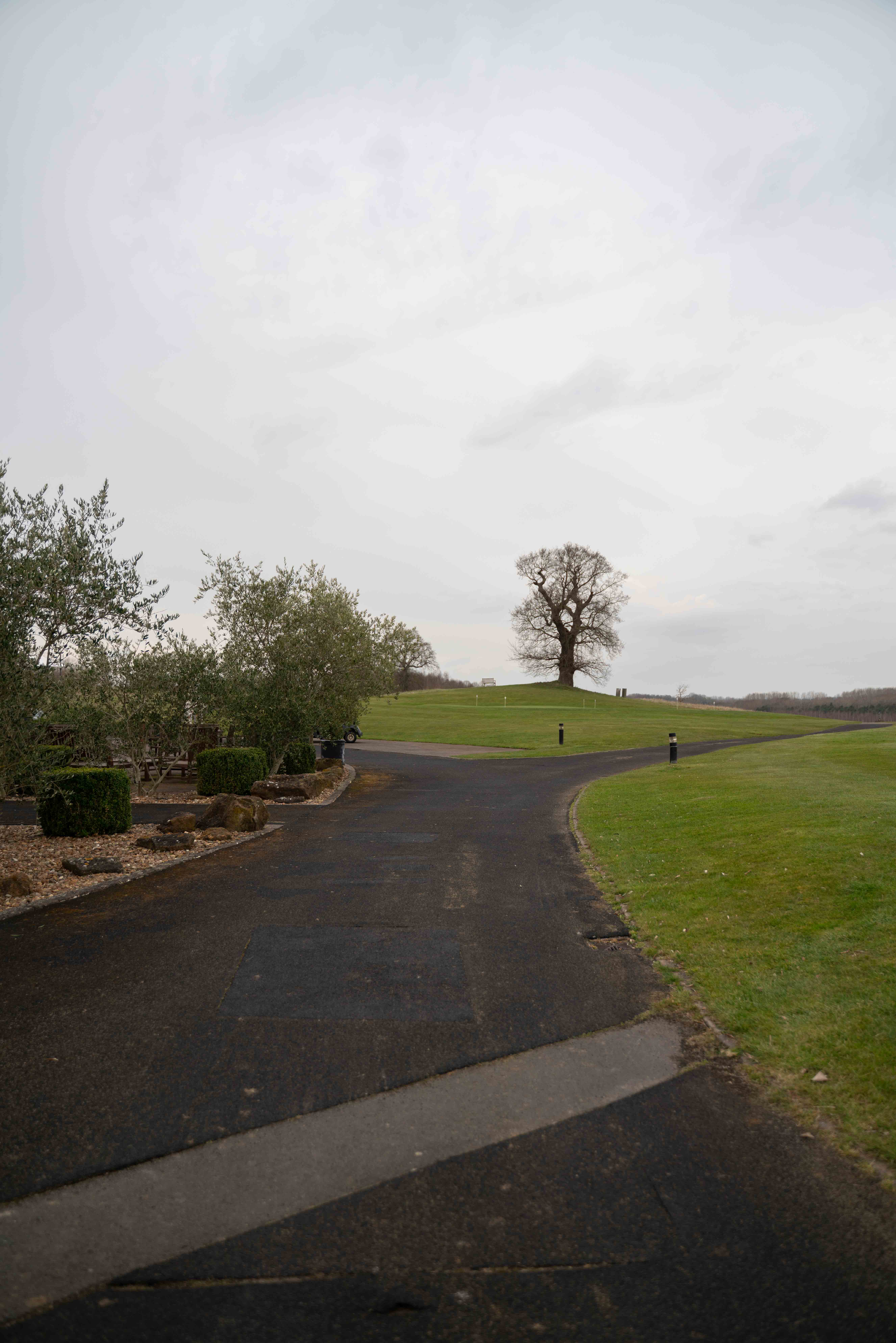 David & Kathryn wedding photo 308