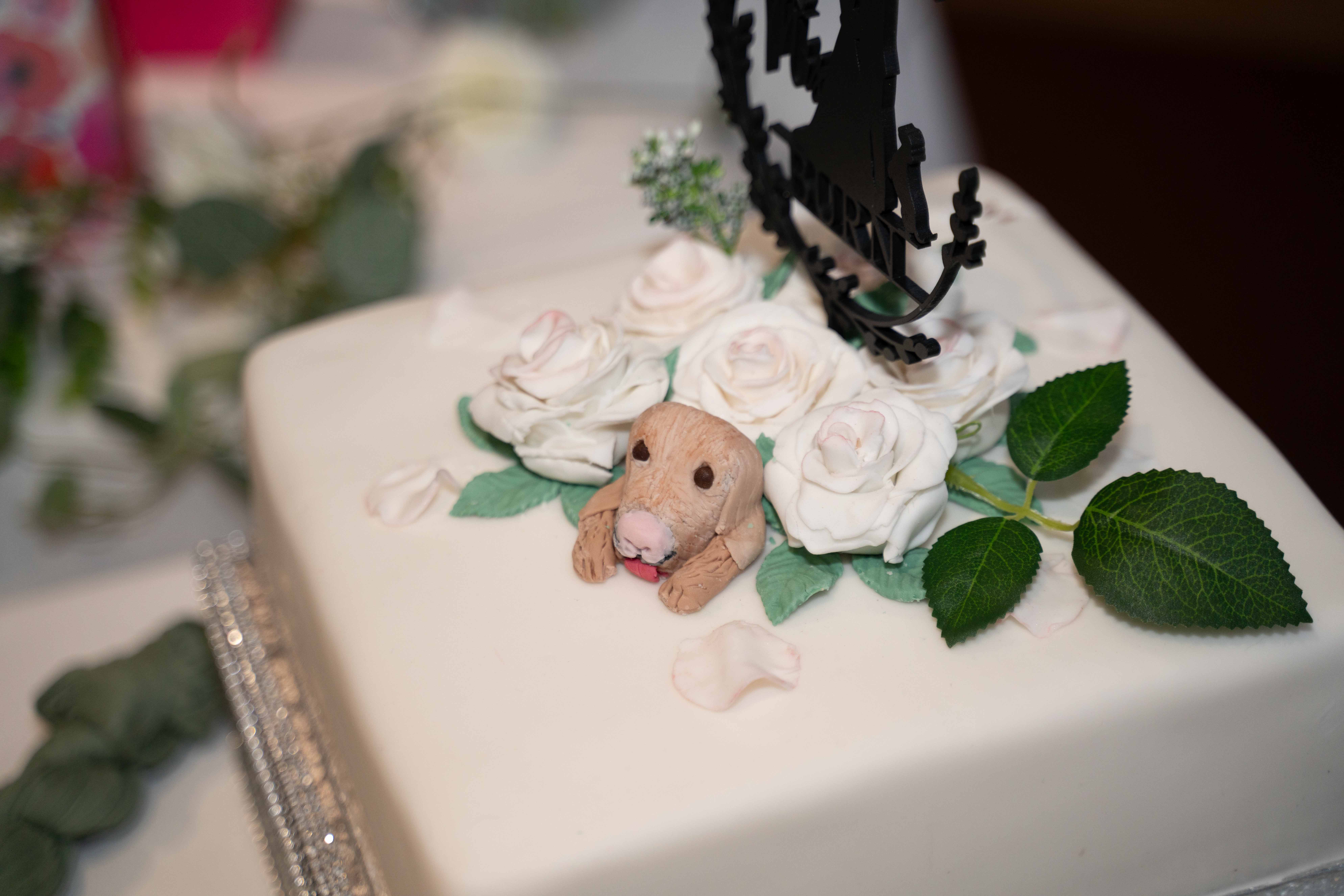 David & Kathryn wedding photo 640