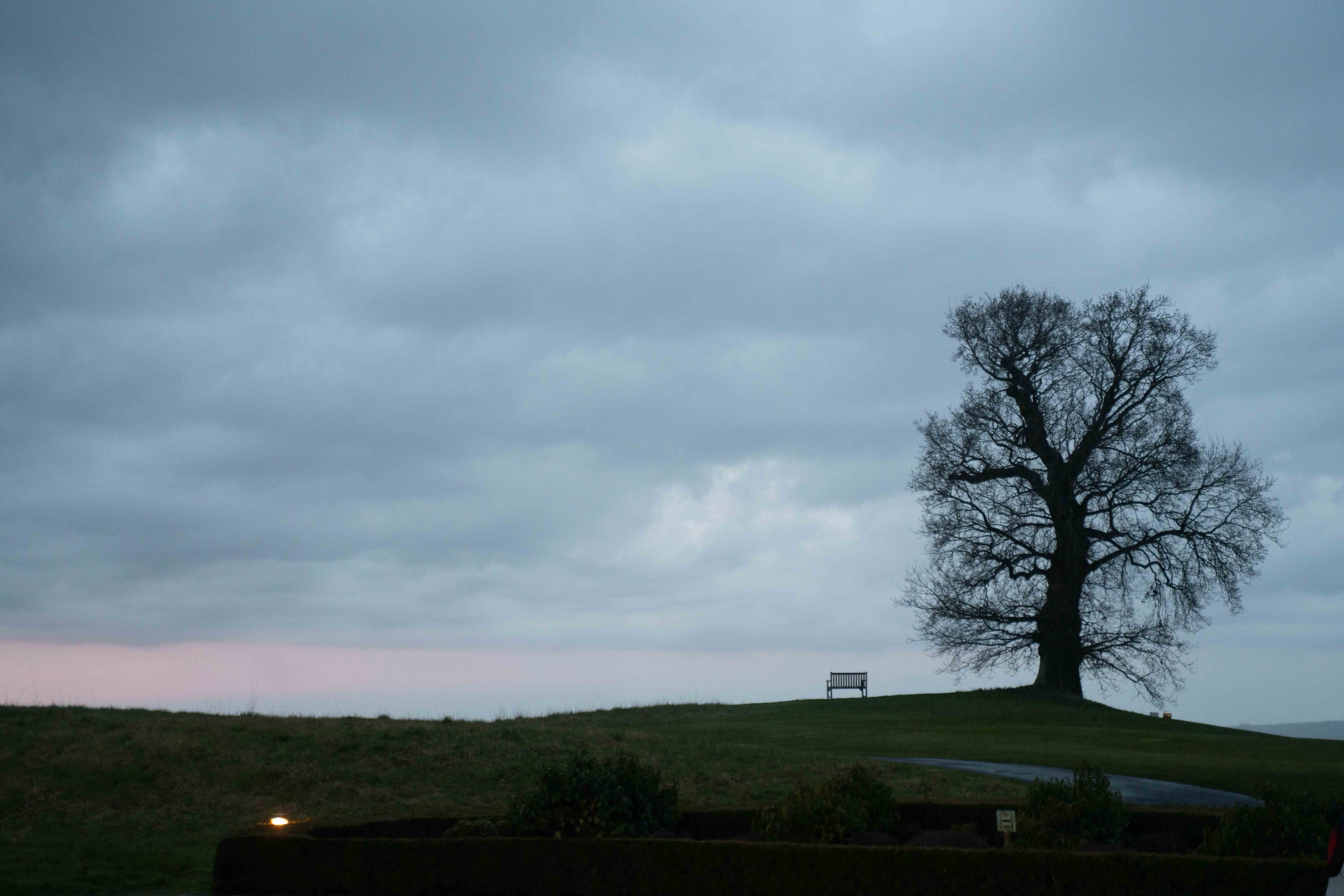 David & Kathryn wedding photo 662