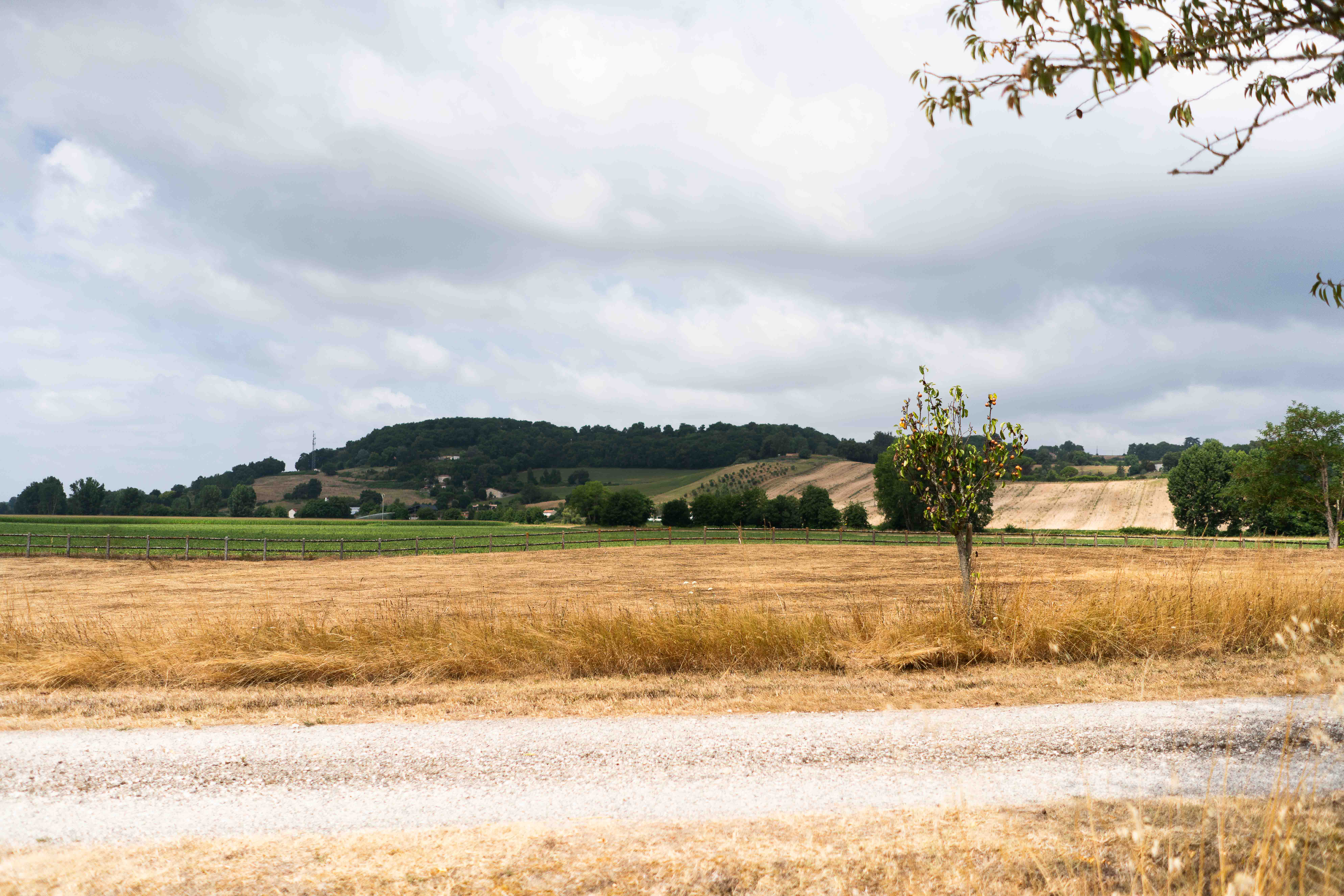 Gary & Micia wedding photo 50