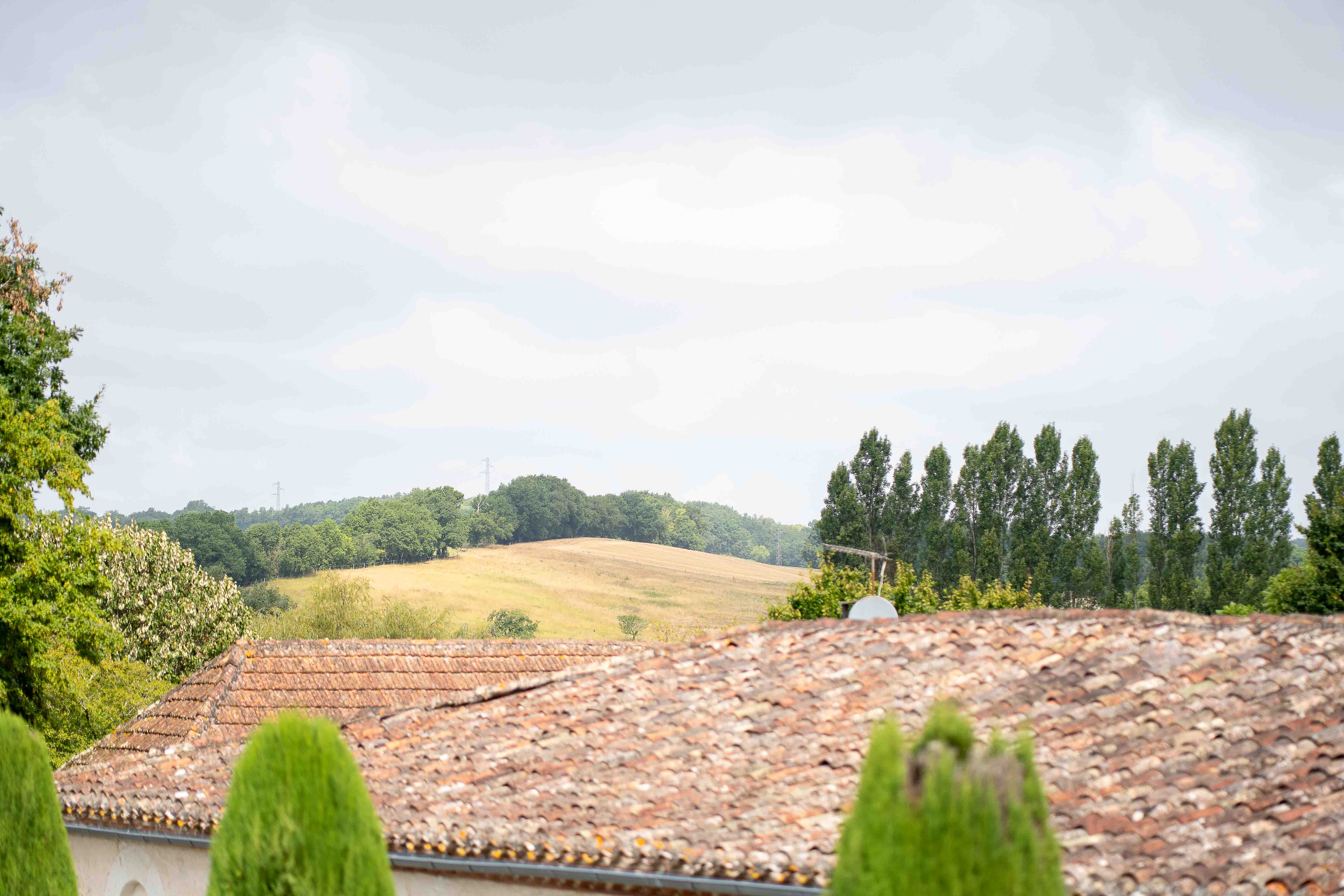 Gary & Micia wedding photo 97