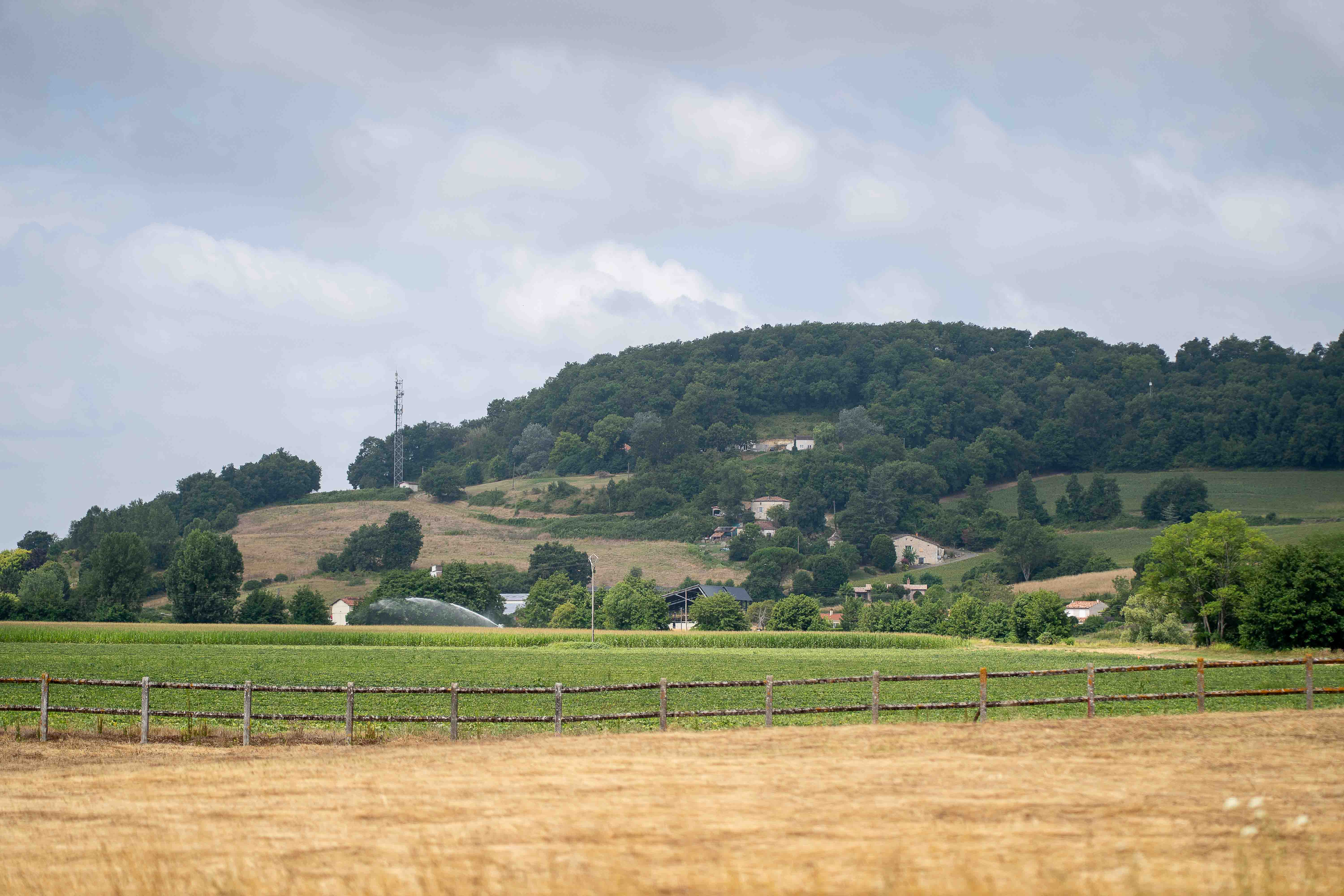Gary & Micia wedding photo 115
