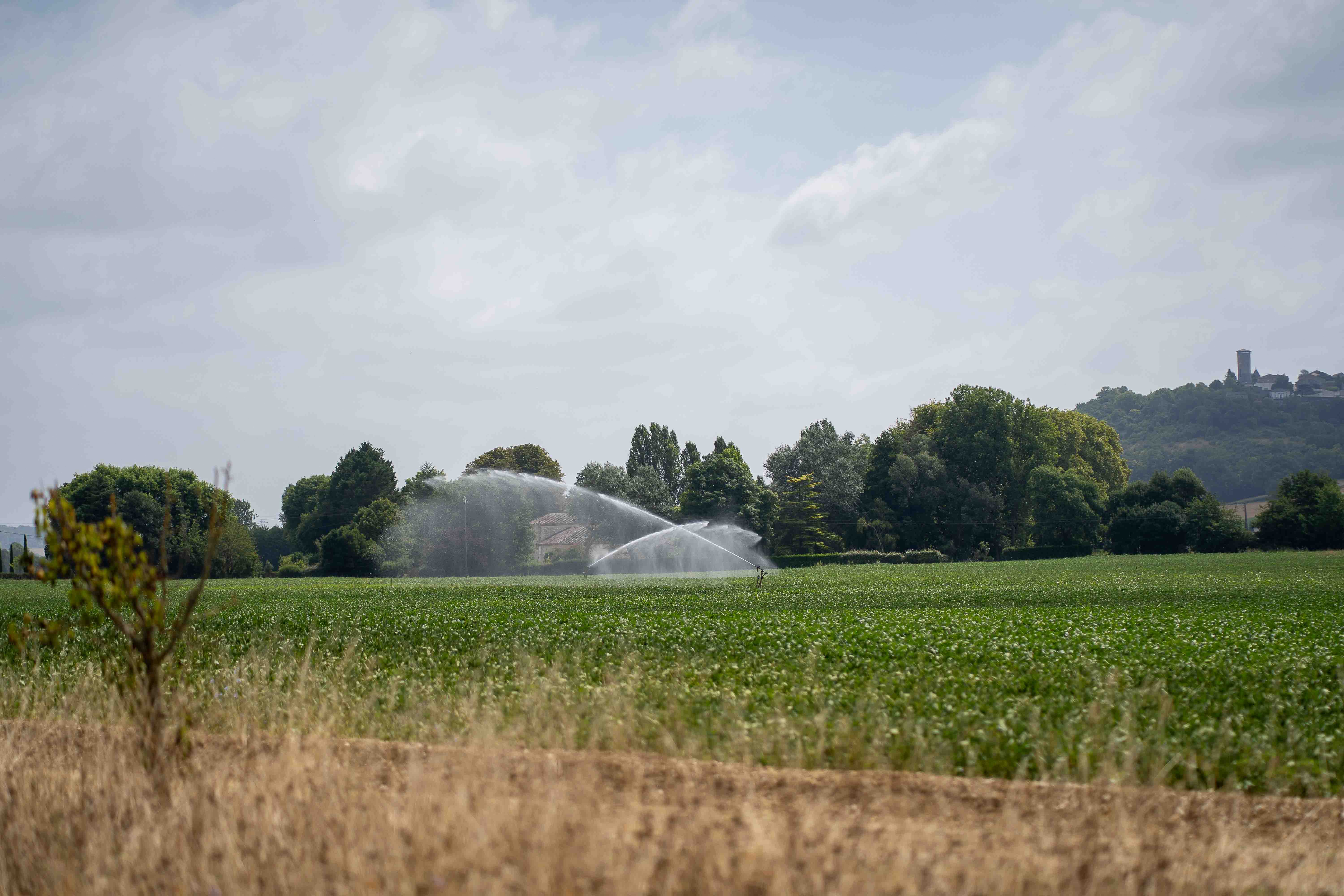 Gary & Micia wedding photo 117