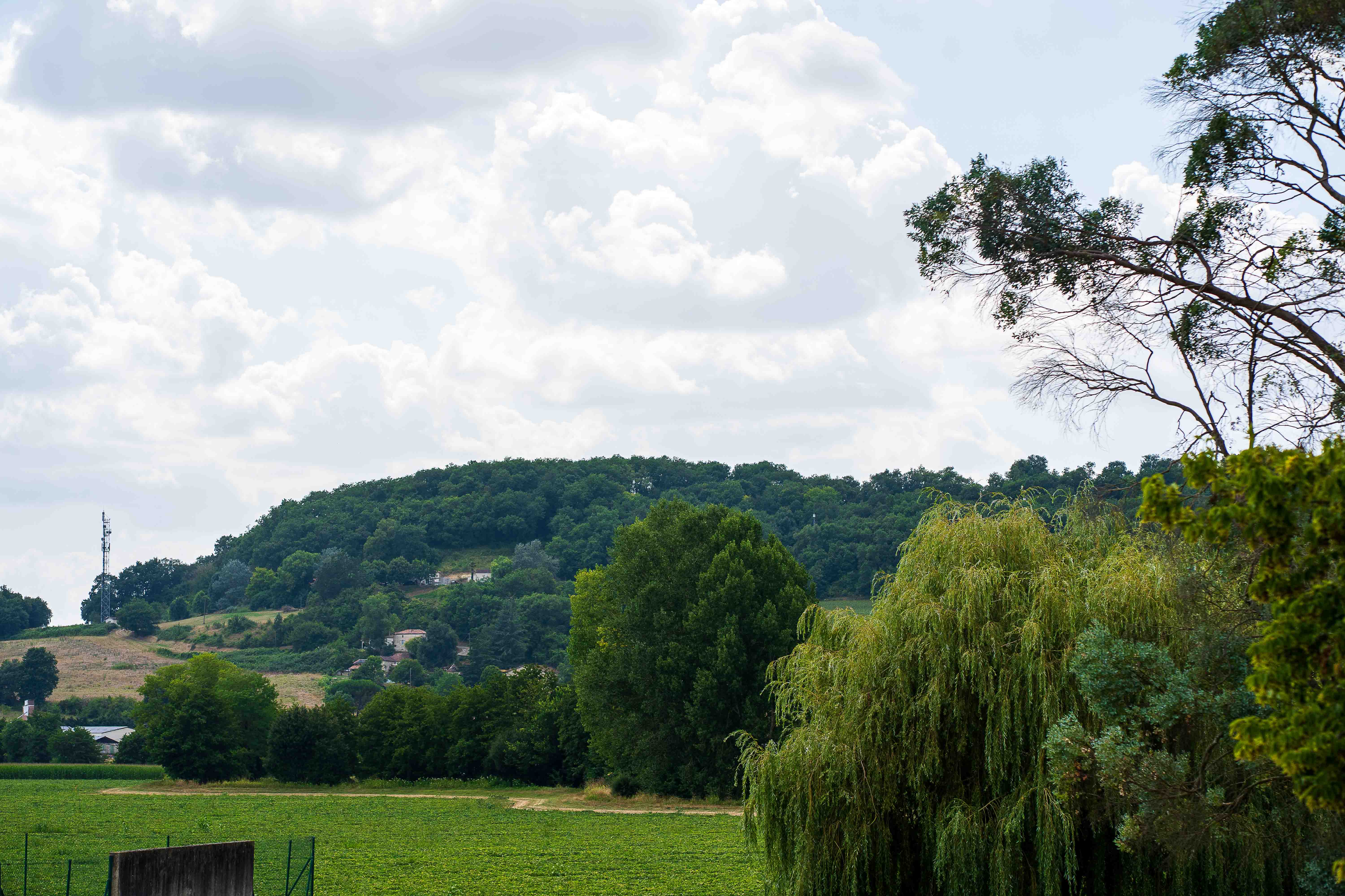 Gary & Micia wedding photo 323